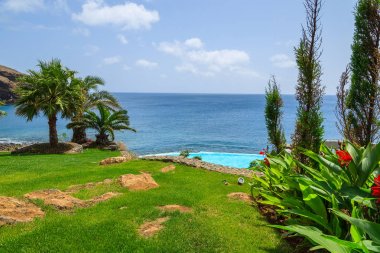 Yeşil çim alan Atlantik Okyanusu, Madeira Adası, Portekiz, Doğu sahilinde palmiye ağaçları Yüzme havuzlu