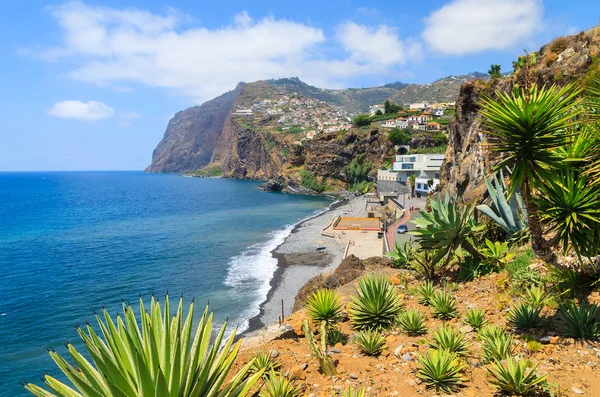 Tropische Planten Het Eiland Van Kust Van Madeira Zomer Portugal — Stockfoto