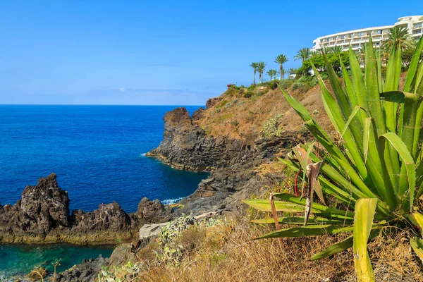 Utsikt Över Klipporna Kusten Madeira Funchal Portugal — Stockfoto