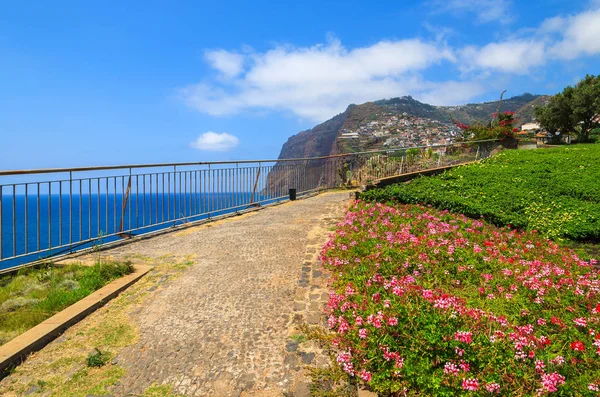 Plantas Tropicais Costa Ilha Madeira Verão Portugal — Fotografia de Stock