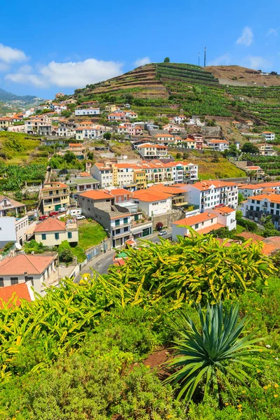 View Camara Lobos Village Coast Madeira Island — Stock Photo, Image