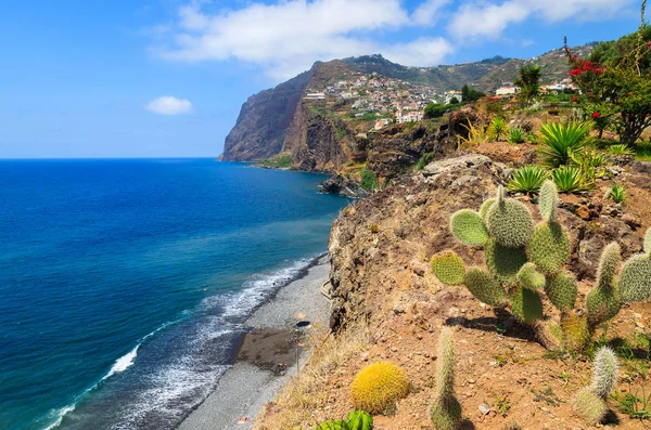 Sahil Madeira Adası yaz, Portekiz'tropikal bitki