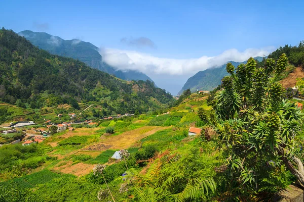 Zöld Trópusi Táj Madeira Sziget Hegység — Stock Fotó