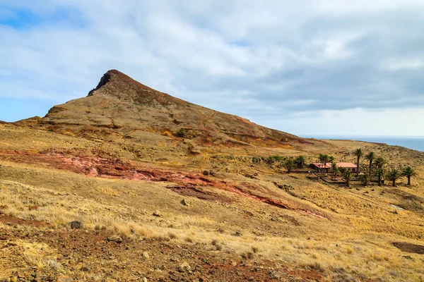 Oasis Con Palmeras Acantilados Montaña Paisaje Desértico Isla Madeira Portugal — Foto de Stock