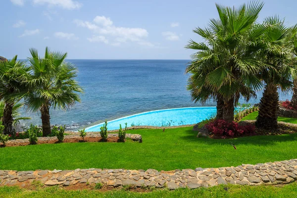 Green grass area with palm trees swimming pool at east coast of Atlantic Ocean, Madeira island, Portugal
