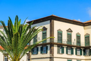 Palmiye ağacı ve Sarayı Funchal tarihi eski şehir merkezinde Madeira Adası, Portekiz sömürge mimarisi