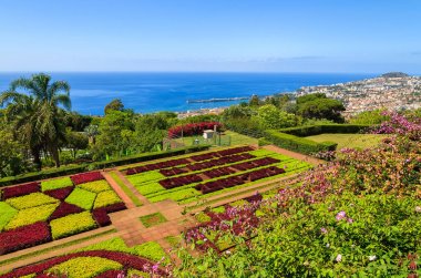 Monte tropik bahçeler içinde Funchal kasaba, Madeira Adası, Portekiz