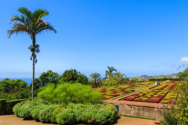 Monte tropik bahçeler içinde Funchal kasaba, Madeira Adası, Portekiz
