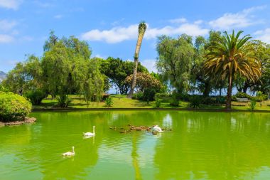 Göl Santa Catarina Park City'de Funchal, Madeira Adası