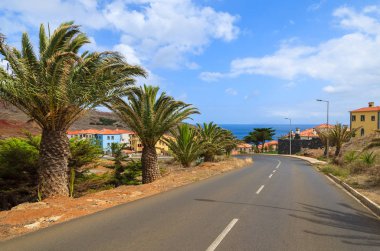 Portekizce Köyü, Madeira Adası palmiye ağaçları olan yol