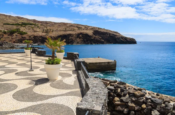 Macetas Palmeras Paseo Marítimo Vista Mar Costa Sur Isla Madeira — Foto de Stock