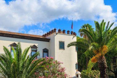 Palmiye ağaçları ve Sarayı Funchal tarihi eski şehir merkezinde Madeira Adası, Portekiz sömürge mimarisi