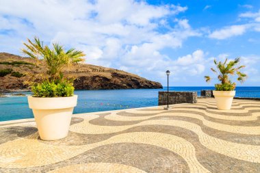 Okyanus Canical town, Madeira Adası, Portekiz yakınındaki kıyı mesire tencere palmiye ağaçlarında