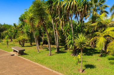 Monte tropik bahçeler içinde Funchal kasaba, Madeira Adası, Portekiz