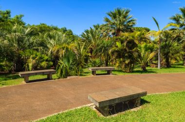 Monte tropik bahçeler içinde Funchal kasaba, Madeira Adası, Portekiz