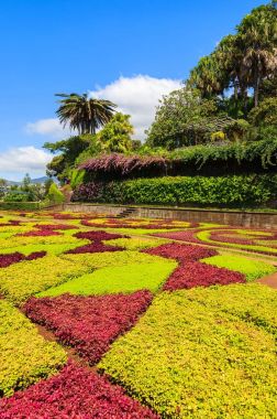 Monte tropik bahçeler içinde Funchal kasaba, Madeira Adası, Portekiz