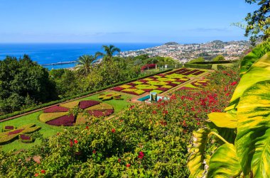 Monte tropik bahçeler içinde Funchal kasaba, Madeira Adası, Portekiz