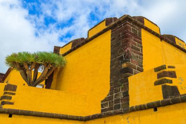 Sarı duvarları eski Fortaleza de Sao Tiago Funchal, Madeira Adası, Portekiz kale