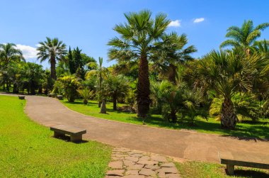 Monte tropik bahçeler içinde Funchal kasaba, Madeira Adası, Portekiz