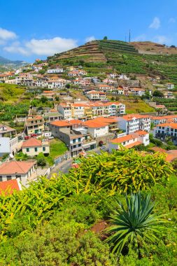 Camara de Lobos Köyü sahil Madeira Adası görünümünü