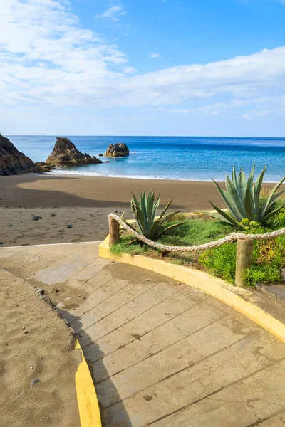 Plantas Tropicais Praia Prainha Ilha Madeira Portugal — Fotografia de Stock