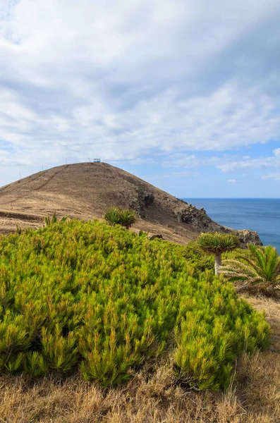 Prachtige Kust Van Madeira Island Portugal — Stockfoto