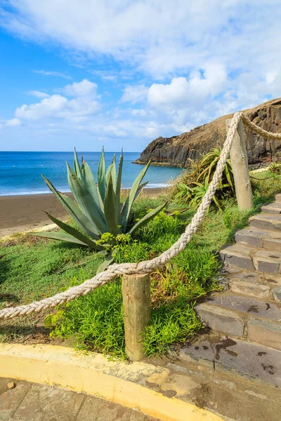 Tropical plants on Prainha beach, Madeira island, Portugal