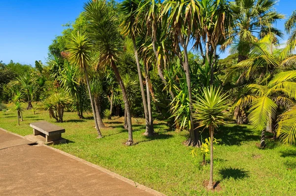Monte tropik bahçeler içinde Funchal kasaba, Madeira Adası, Portekiz