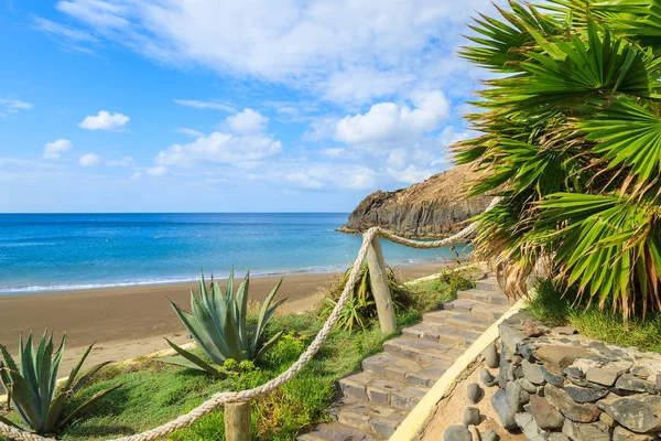 Tropical plants on Prainha beach, Madeira island, Portugal