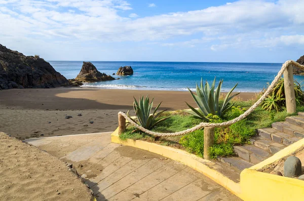 Tropische Pflanzen Strand Von Prainha Insel Madeira Portugal — Stockfoto