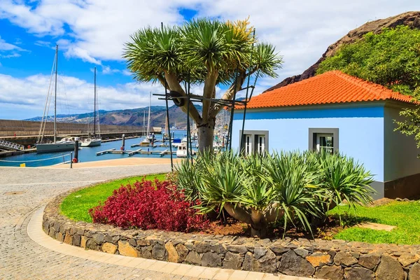 Farbenfrohes Haus Mit Tropischen Pflanzen Yachthafen Der Küste Der Insel — Stockfoto