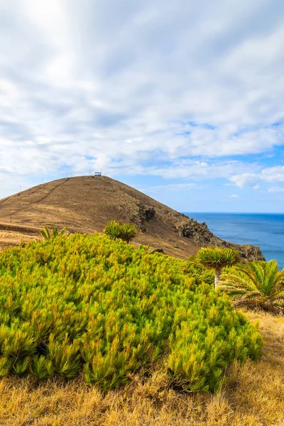 Weergave Van Groene Planten Kust Rots Baai Van Prainha Buurt — Stockfoto