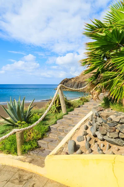 Plantas Tropicais Praia Prainha Ilha Madeira Portugal — Fotografia de Stock