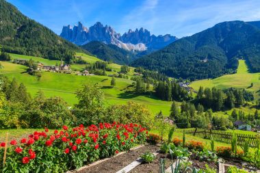 Kırmızı çiçekler ve Val di Funes dağ Vadisi, Dolomites görünümünü