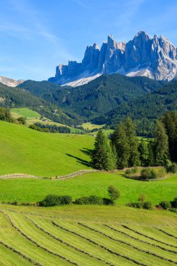 Val di Funes Vadisi dağlarda Dolomites alanında tarım