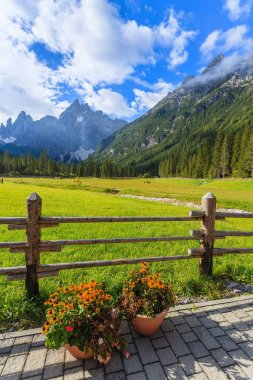 Ahşap çit ve yeşil mera dağ Vadisi, Fischleintal, Dolomites dağlar, South Tyrol, İtalya
