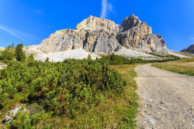 Dağ izi yakınındaki Falzarego geçişte Dolomites Güz, İtalya