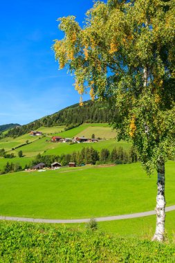 Val di Funes Alp Valley, Dolomites dağlar yürüme yolu
