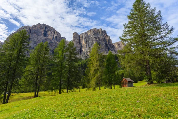 パッソ ガーデナ イタリア ドロミテの山々 近くの森で木造の小屋 — ストック写真