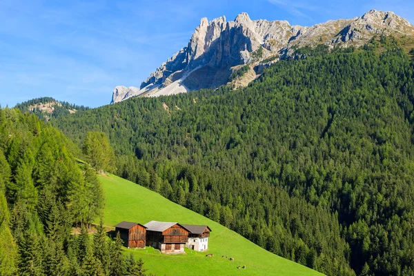 Boerderij Huizen Heuvel Bergen Van Dolomieten Italië — Stockfoto
