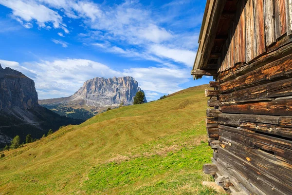 Trä Ladugård Gröna Betesmark Dolomiterna Italien — Stockfoto