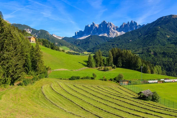 Jordbruk Fält Dolomiterna Val Funes Valley — Stockfoto