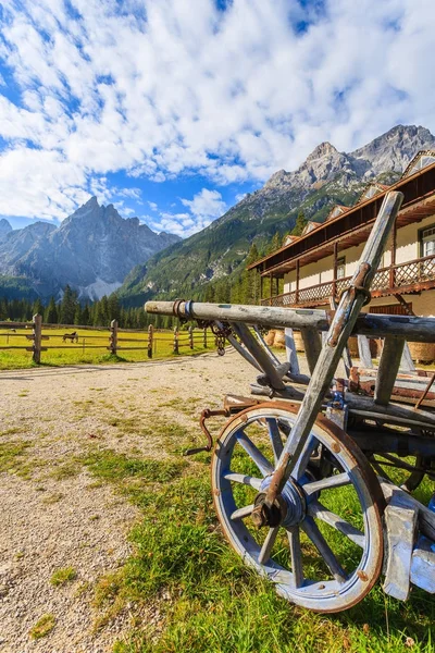 Trä Vagn Och Gröna Betesmark Berget Dalen Fischleintal Dolomiterna Södra — Stockfoto