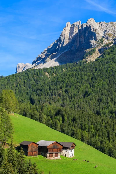 イタリア ドロミテの山々 丘の上のファームハウス — ストック写真