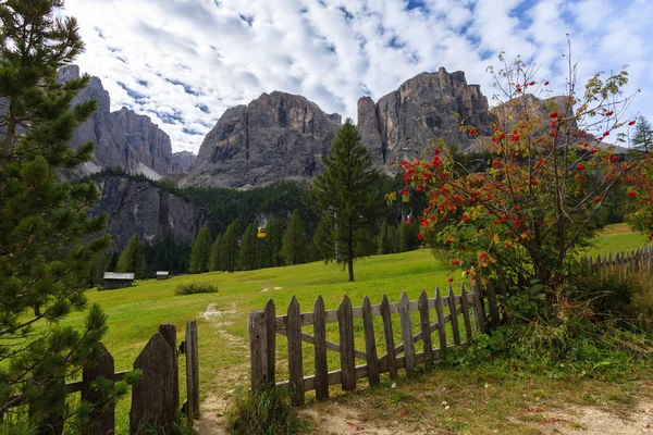 Забор Зеленом Лугу Горах Доломиты Возле Перевала Гардена Италия — стоковое фото