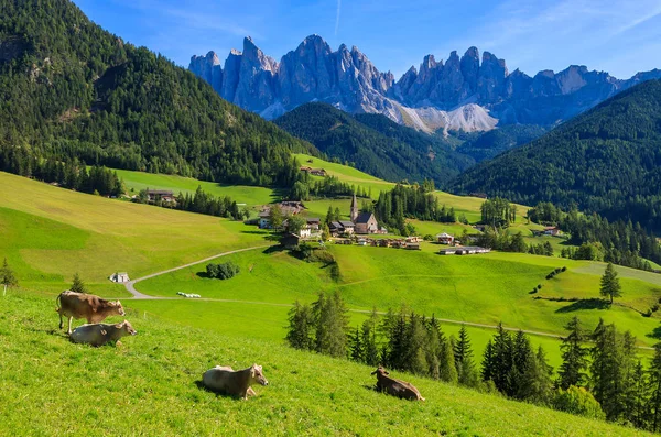 Dağ Vadisi ve Santa Maddalena Köyü, Dolomites görünümü
