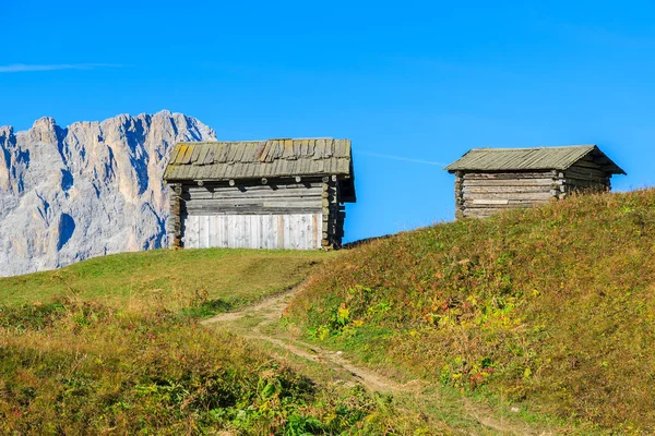 Trä Ladugårdarna Dolomiterna Italien — Stockfoto