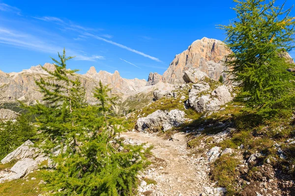 Sendero Montaña Cerca Formación Rocas Cinque Torri Cortina Ampezzo Los —  Fotos de Stock