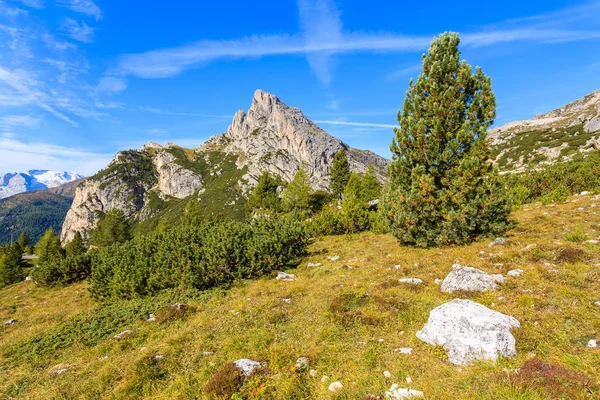 Hermoso Paisaje Las Montañas Dolomitas Cerca Val Gardena Italia —  Fotos de Stock