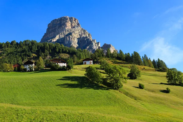 Zielona Łąka Alpejskie Domy Wiosce Colfosco Austria — Zdjęcie stockowe